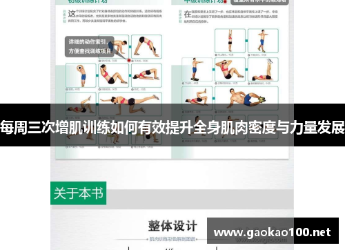 每周三次增肌训练如何有效提升全身肌肉密度与力量发展